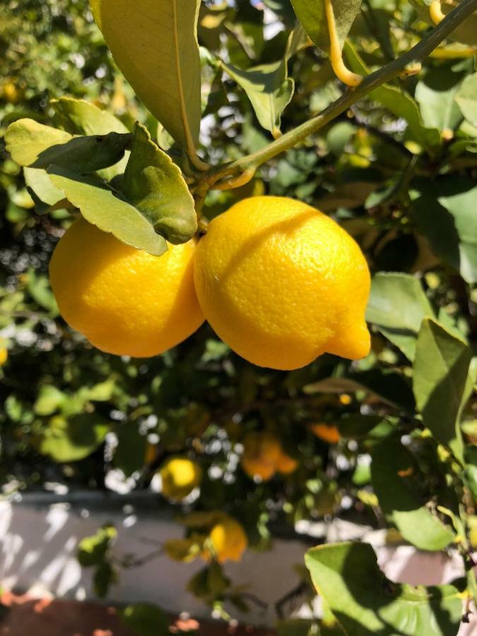 Limonero Bnb Gualchos 外观 照片